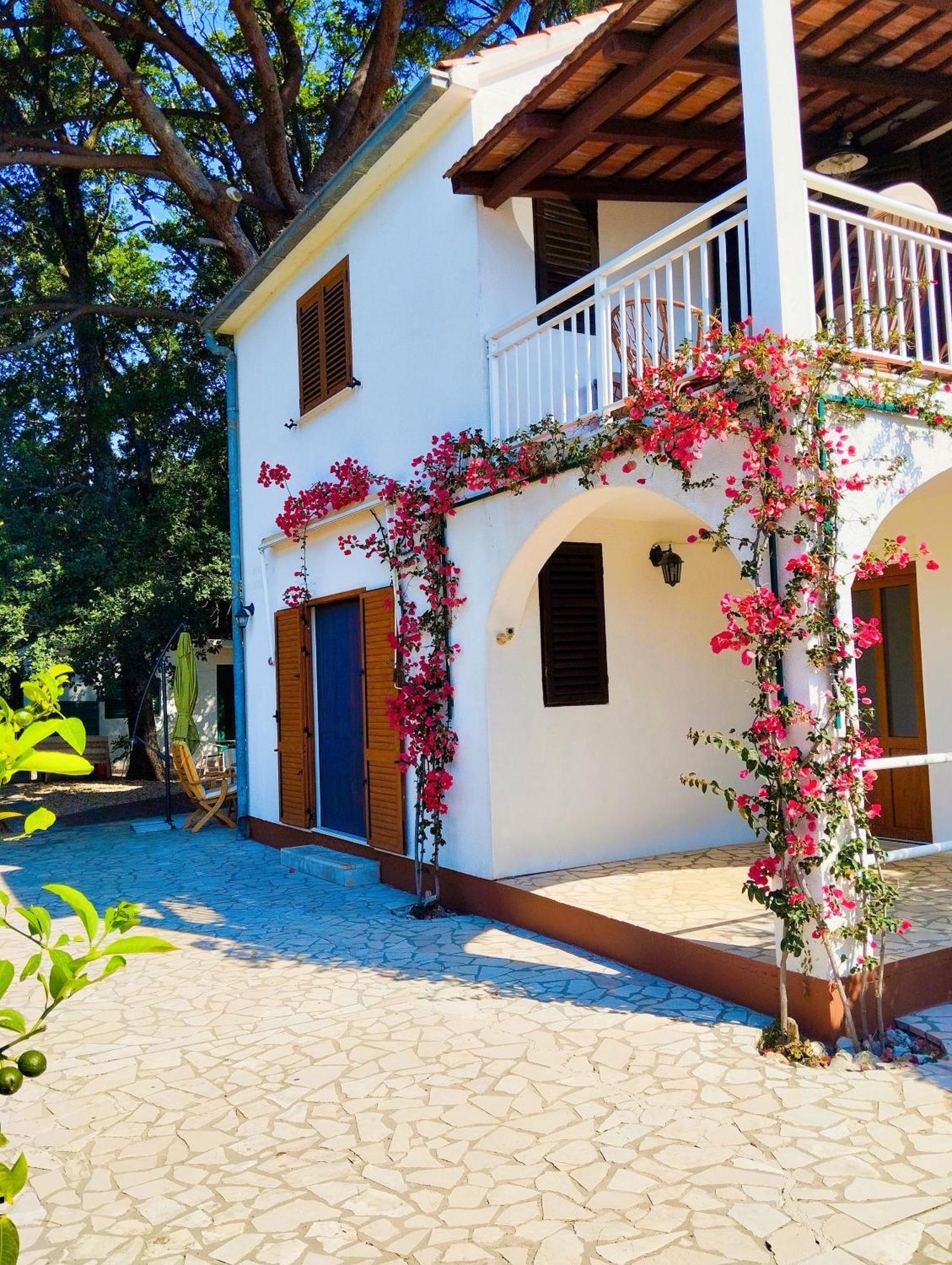 Holiday House Pinus Pinea Вигань Екстер'єр фото