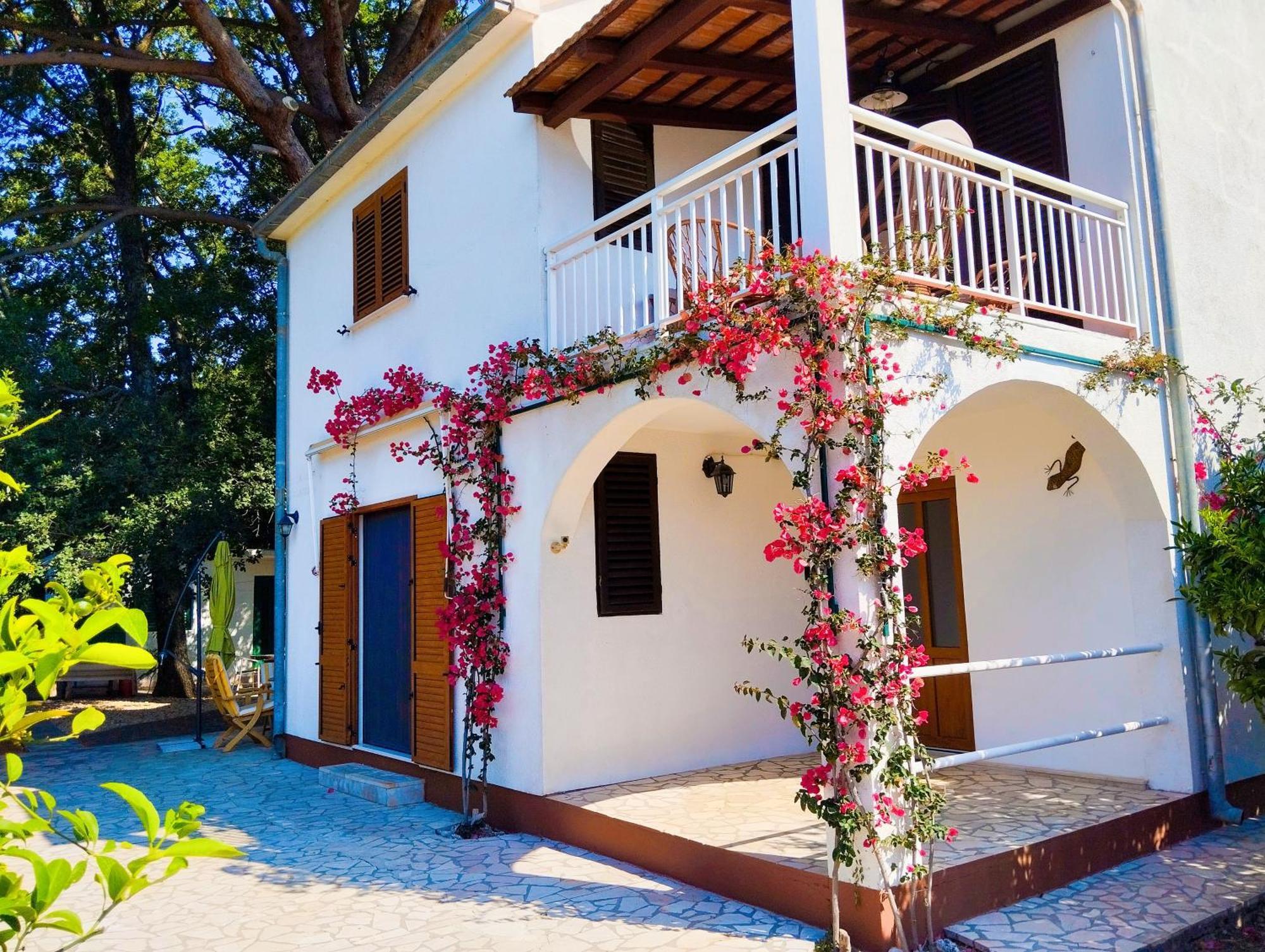 Holiday House Pinus Pinea Вигань Екстер'єр фото